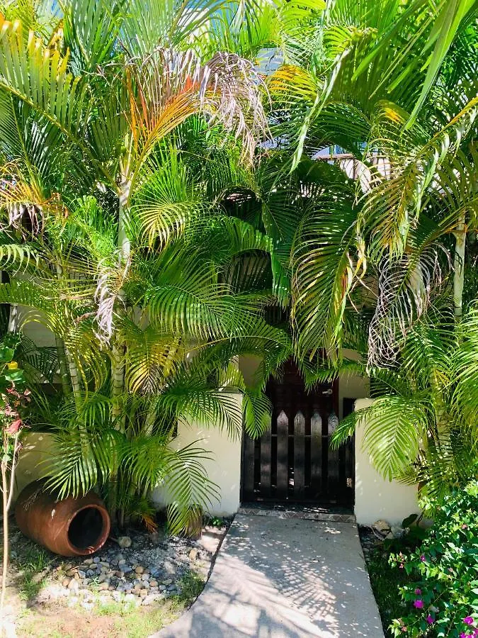 Affittacamere La Casa De Leo Recamara 1 Villa Cardiell Qroo Playa del Carmen Messico